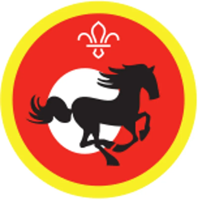 Cub Scout Equestrian
